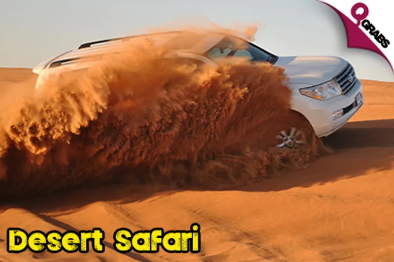 From QR100 Child/QR175 Adult, Explore the Desert with a Half Day Safari Adventure With OR Without Camel Rides! (Up to QR300/QR500 Value)